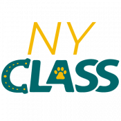NY_Class_Endorsement